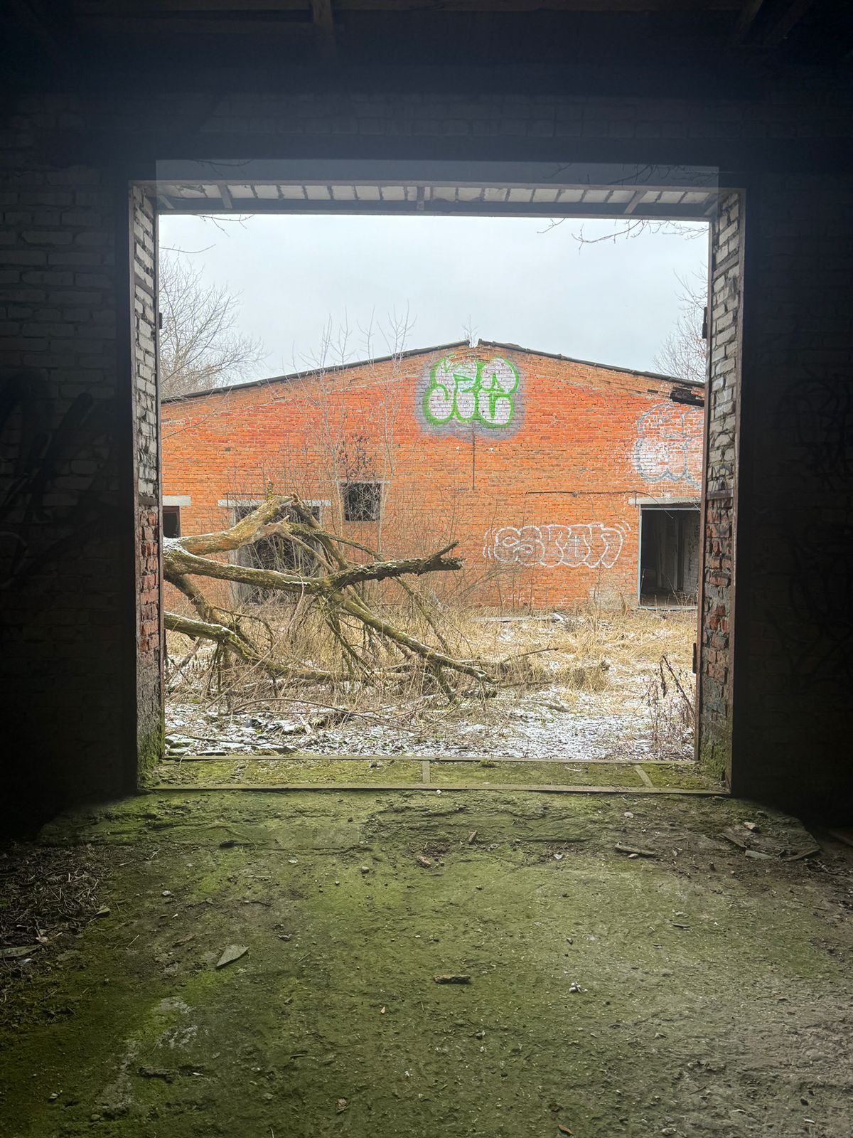 WhatsApp Image 2025-02-06 at 11.11.34.jpeg