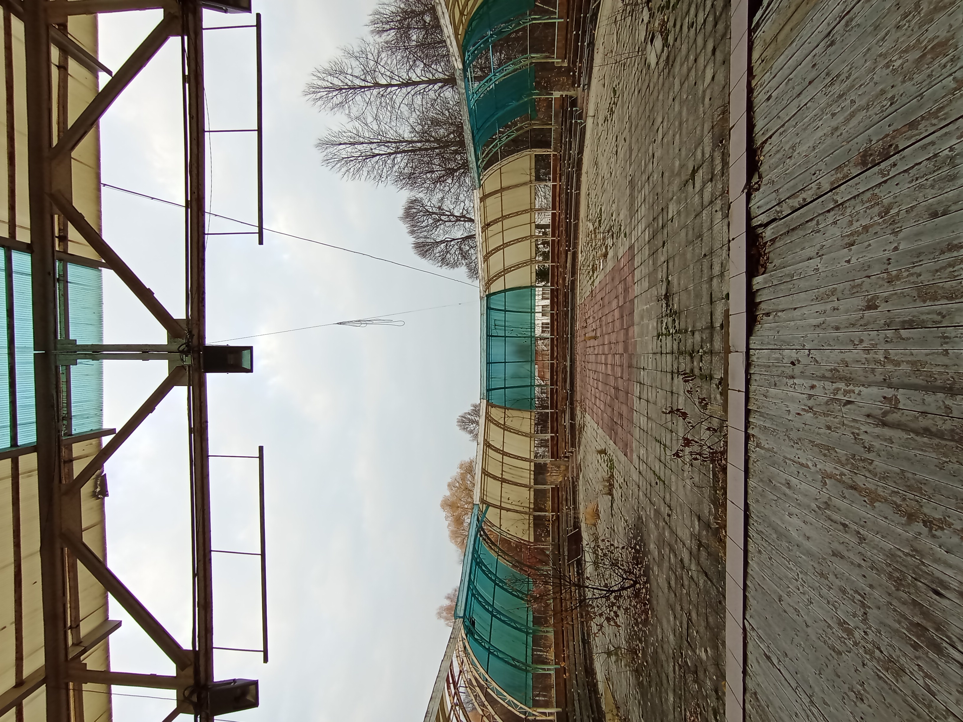 IMG_20241028_090713.jpg