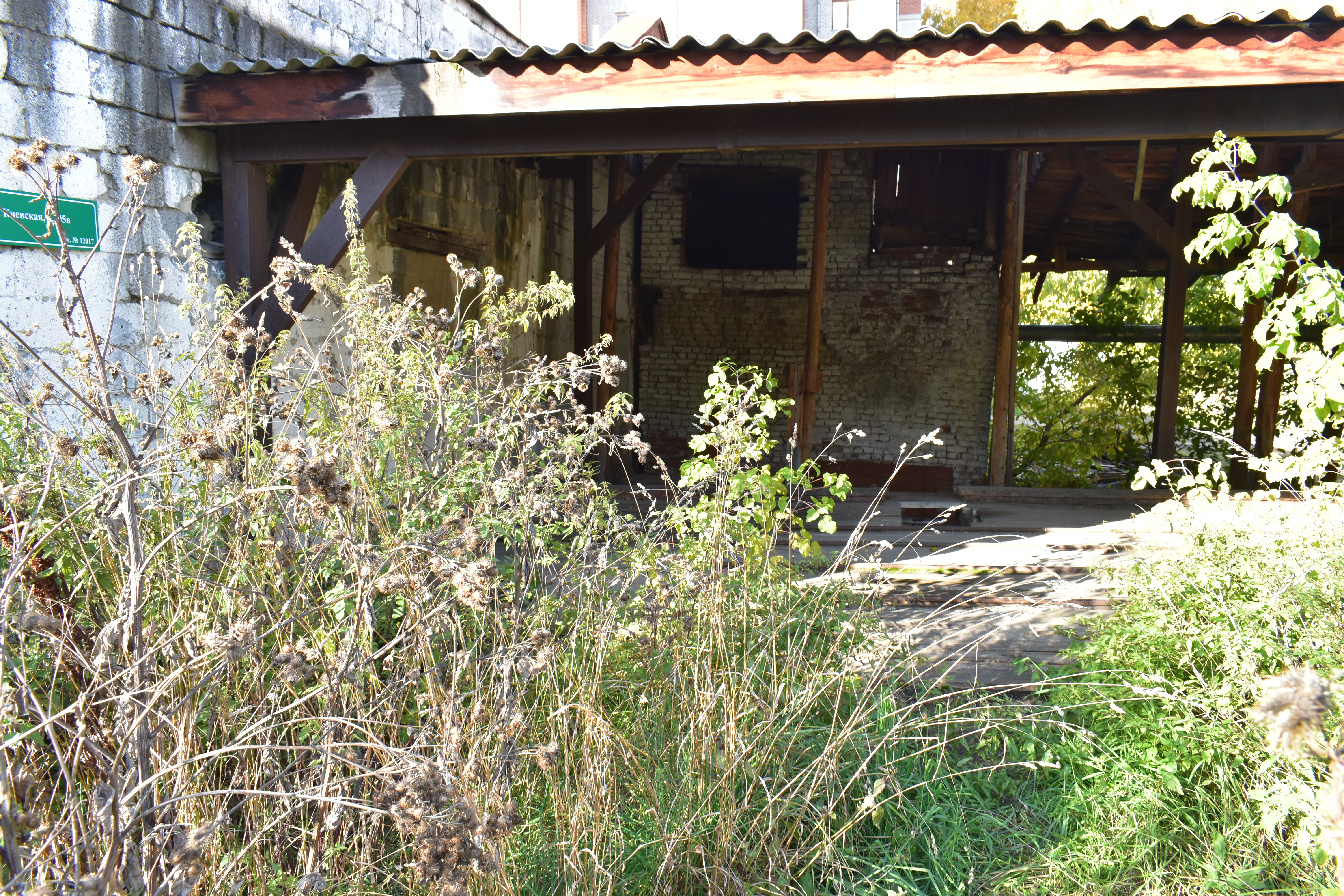 DSC_0196.JPG
