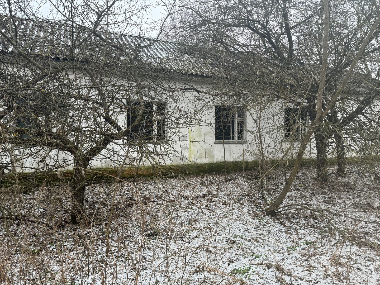 WhatsApp Image 2025-02-06 at 11.01.02.jpeg