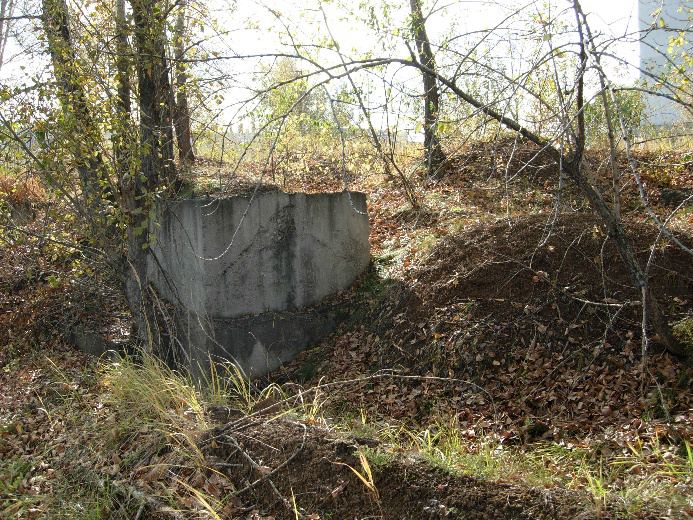 12.bmp