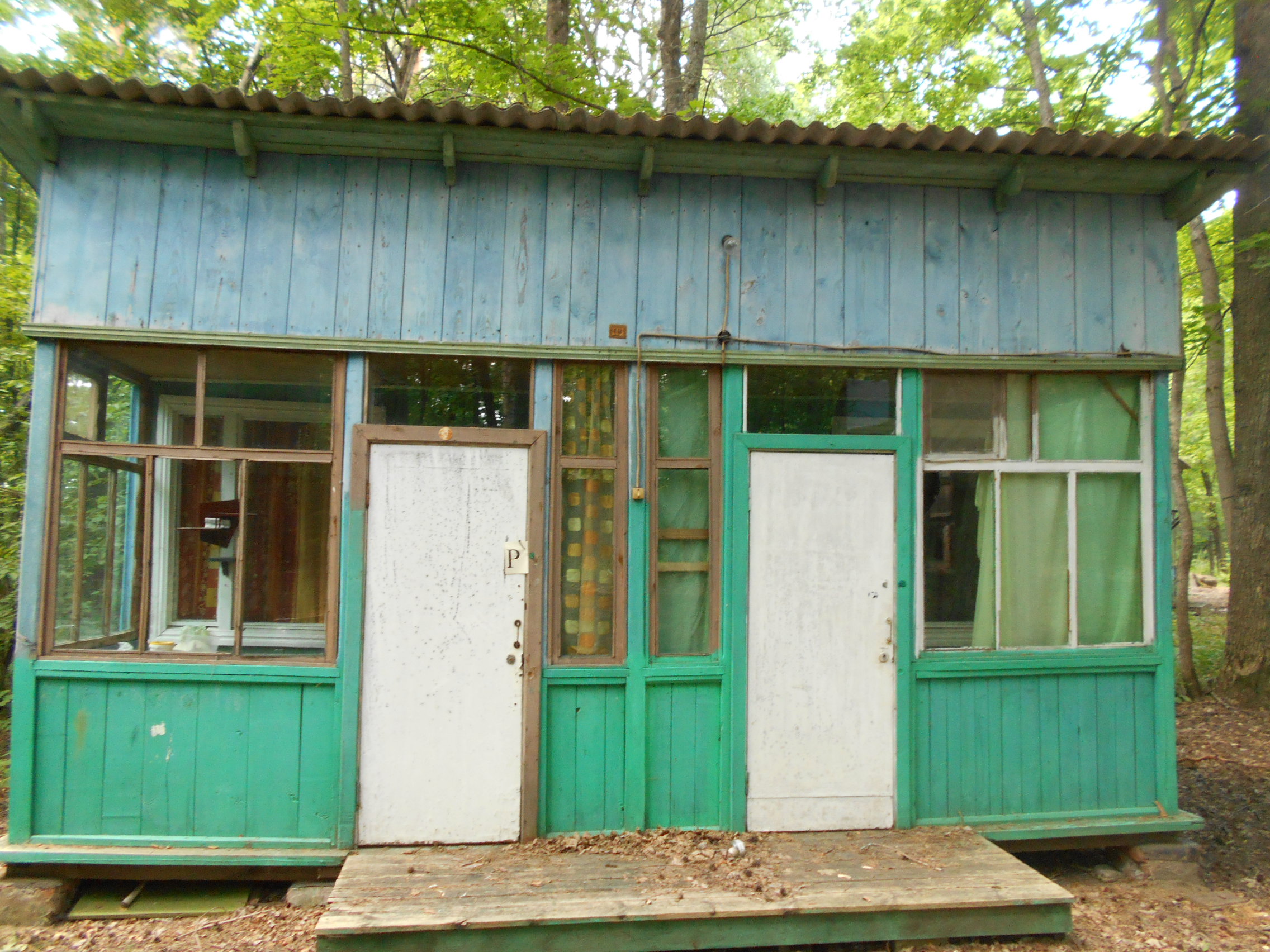 DSCN3520.JPG